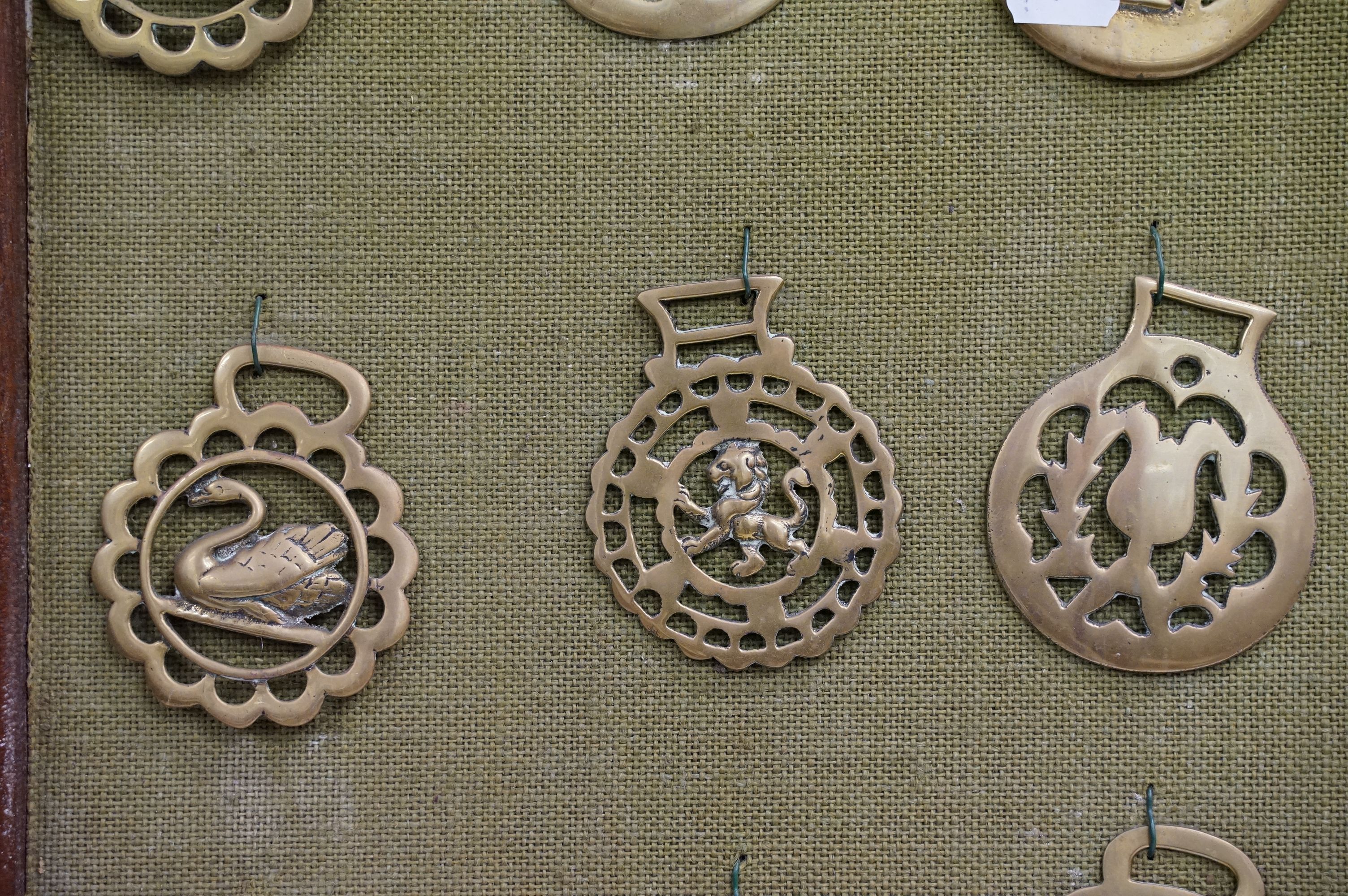 Collection of antique horse brasses mounted to canvas covered board and framed. Measures 97 x 66cm. - Image 3 of 11