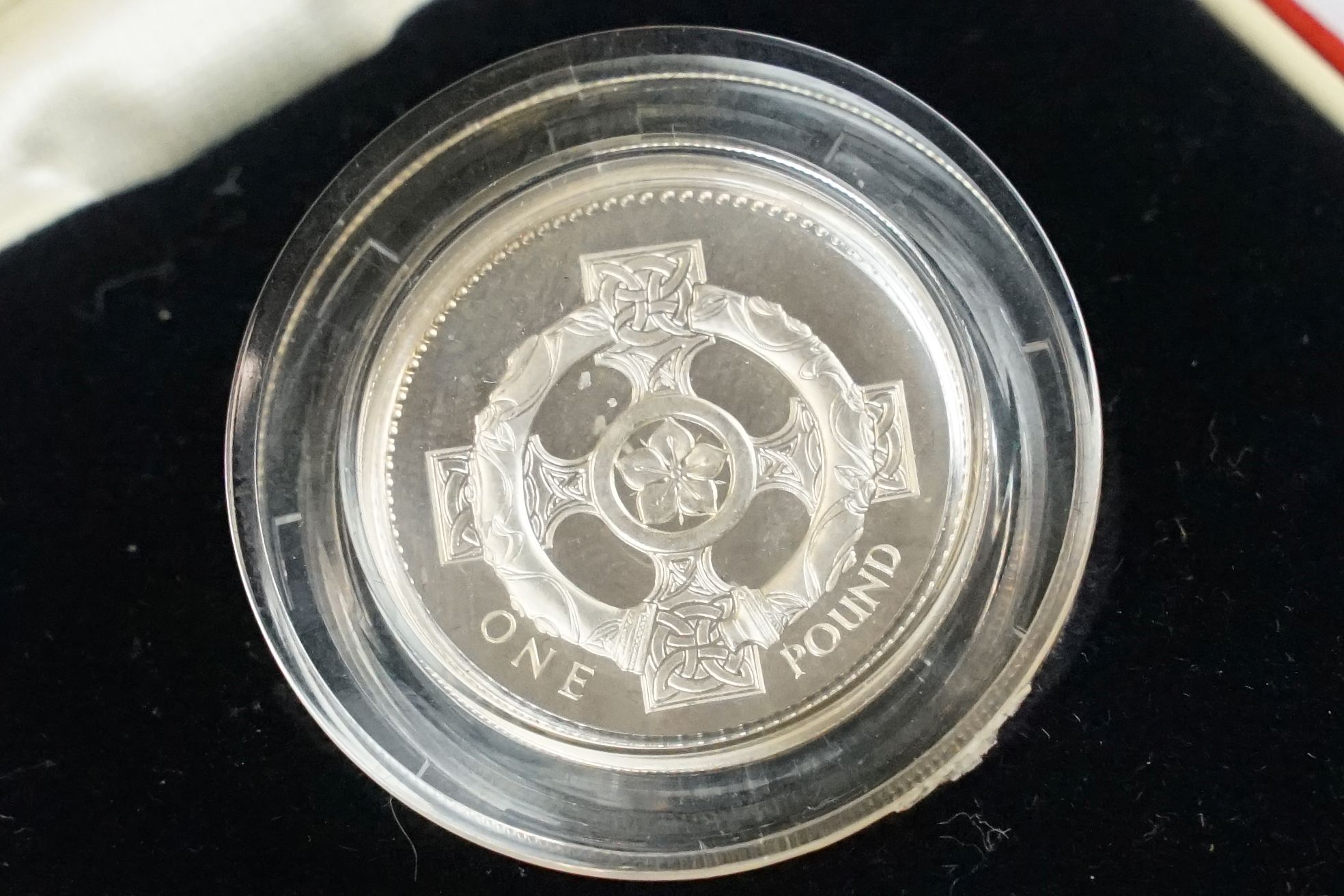 A collection of Three Royal Mint silver proof £1 coins to include 1995, 2001 and 2008 examples. - Image 9 of 10