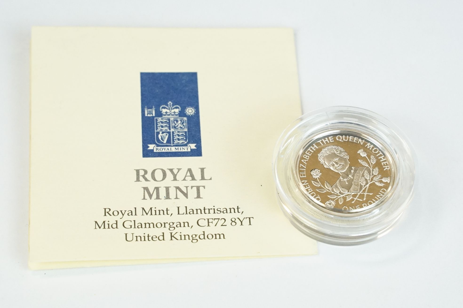 A collection of Three Royal Mint silver proof £1 coins to include 1995, 2001 and 2008 examples. - Image 2 of 10