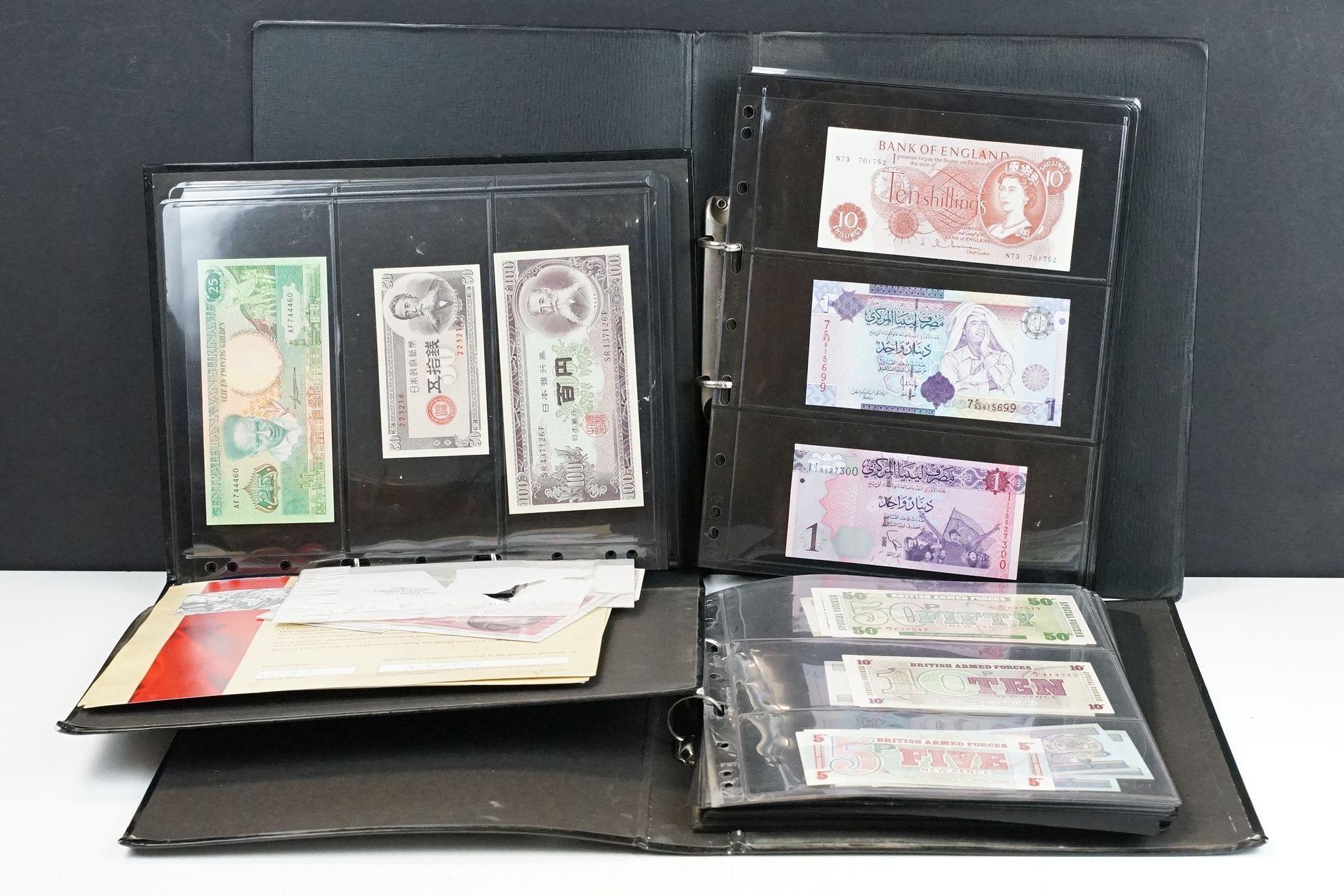 A large collection of British and World banknotes contained within three folders to include