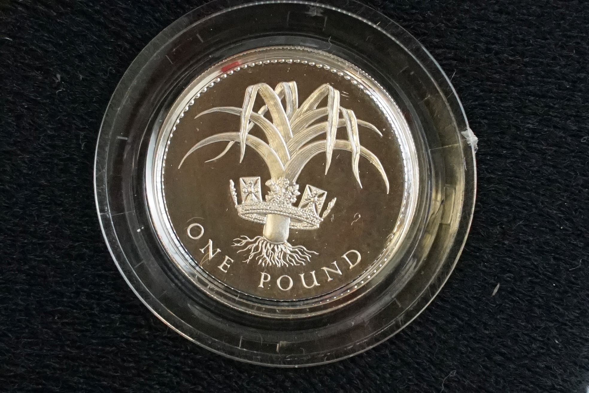 A collection of four Royal Mint silver proof £1 coins to include 2002, 1985, 1983 and 1988 examples, - Image 6 of 13