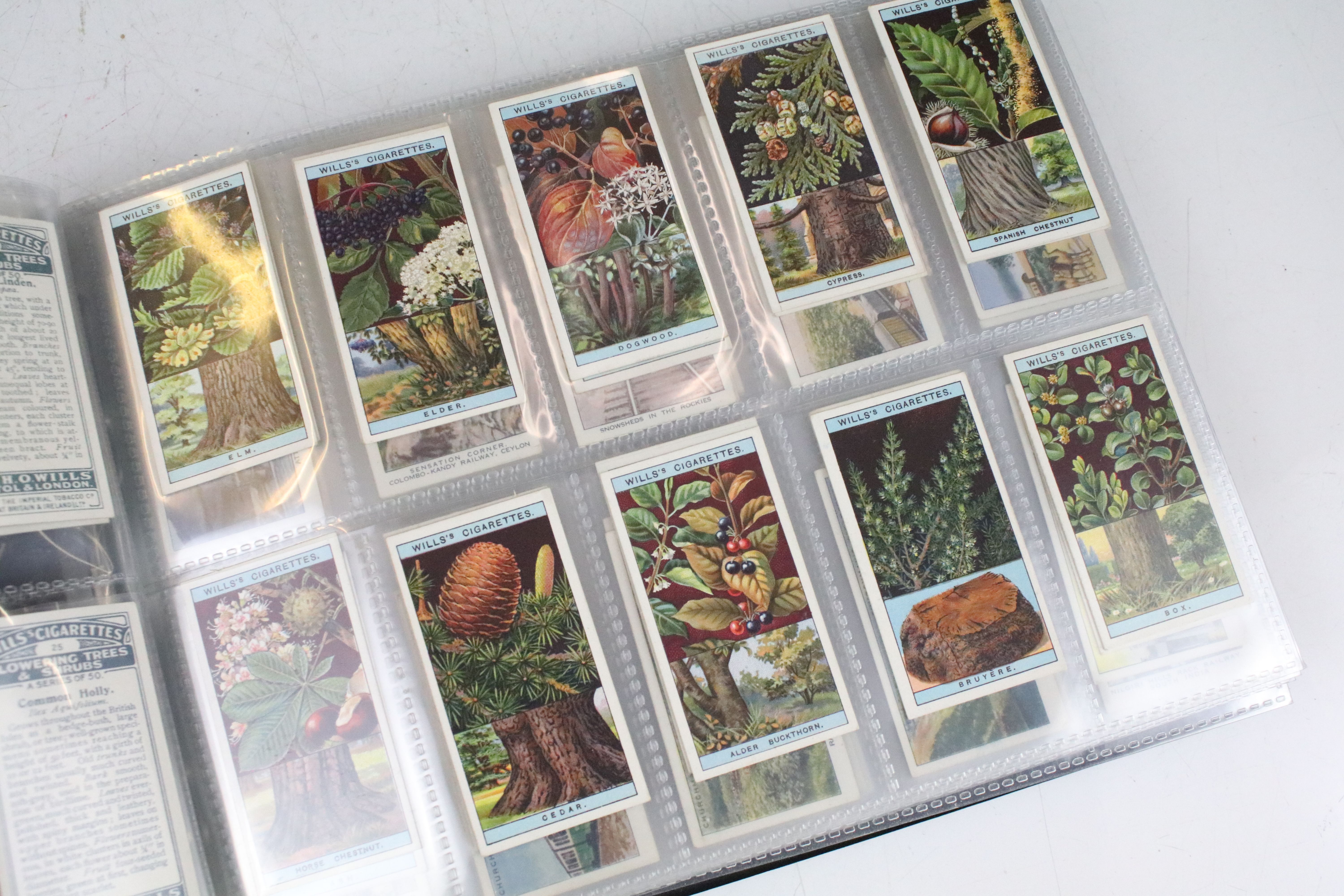 Large collection of cigarette cards within albums, full & part sets, plus a tin of odds, the lot - Image 11 of 14