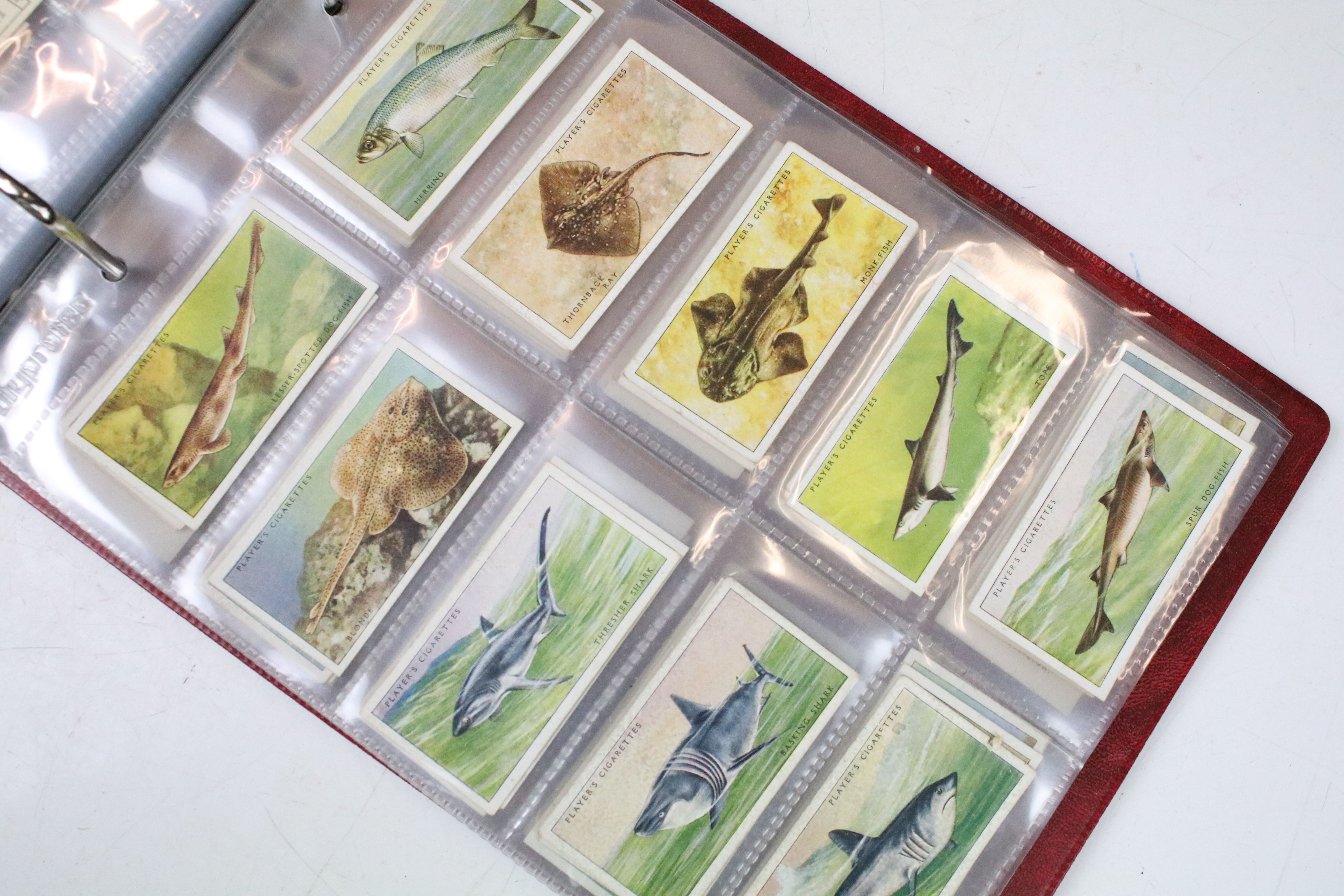 Large collection of cigarette cards within albums, full & part sets, plus a tin of odds, the lot - Image 9 of 14