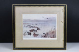 Archibald Thorburn (1860 - 1935), ducks in the water, colour print, signed in pencil lower left,
