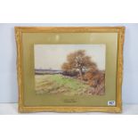 Henry Sylvester Stannard R.B.A. (1870 - 1951), a gilt framed attributed watercolour sheep in a