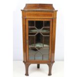 Edwardian mahogany inlaid corner display cabinet, with astragal glazed door and three fitted