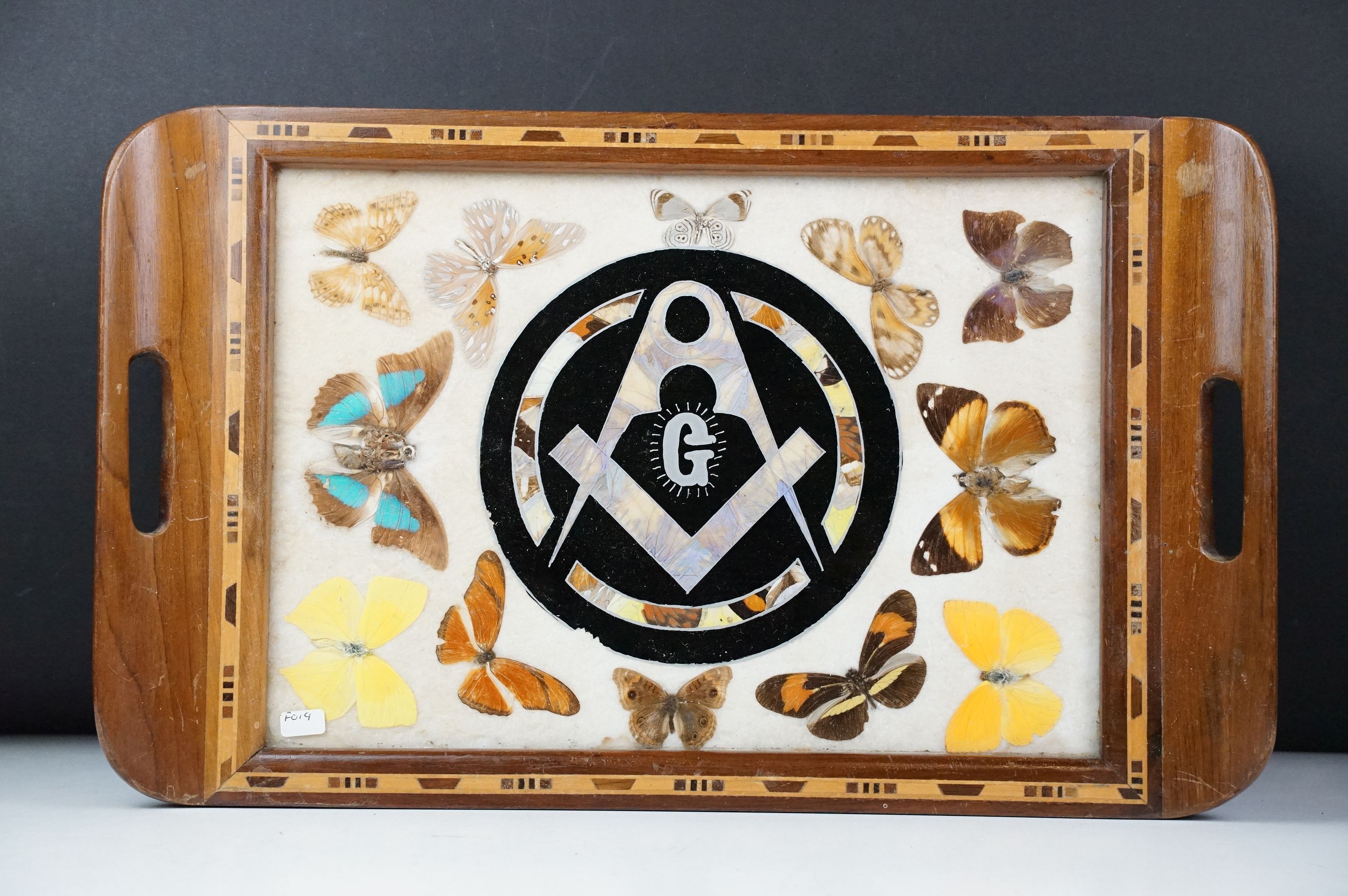 Early 20th century inlaid wooden tray with butterfly specimens and masonic butterfly wing emblem