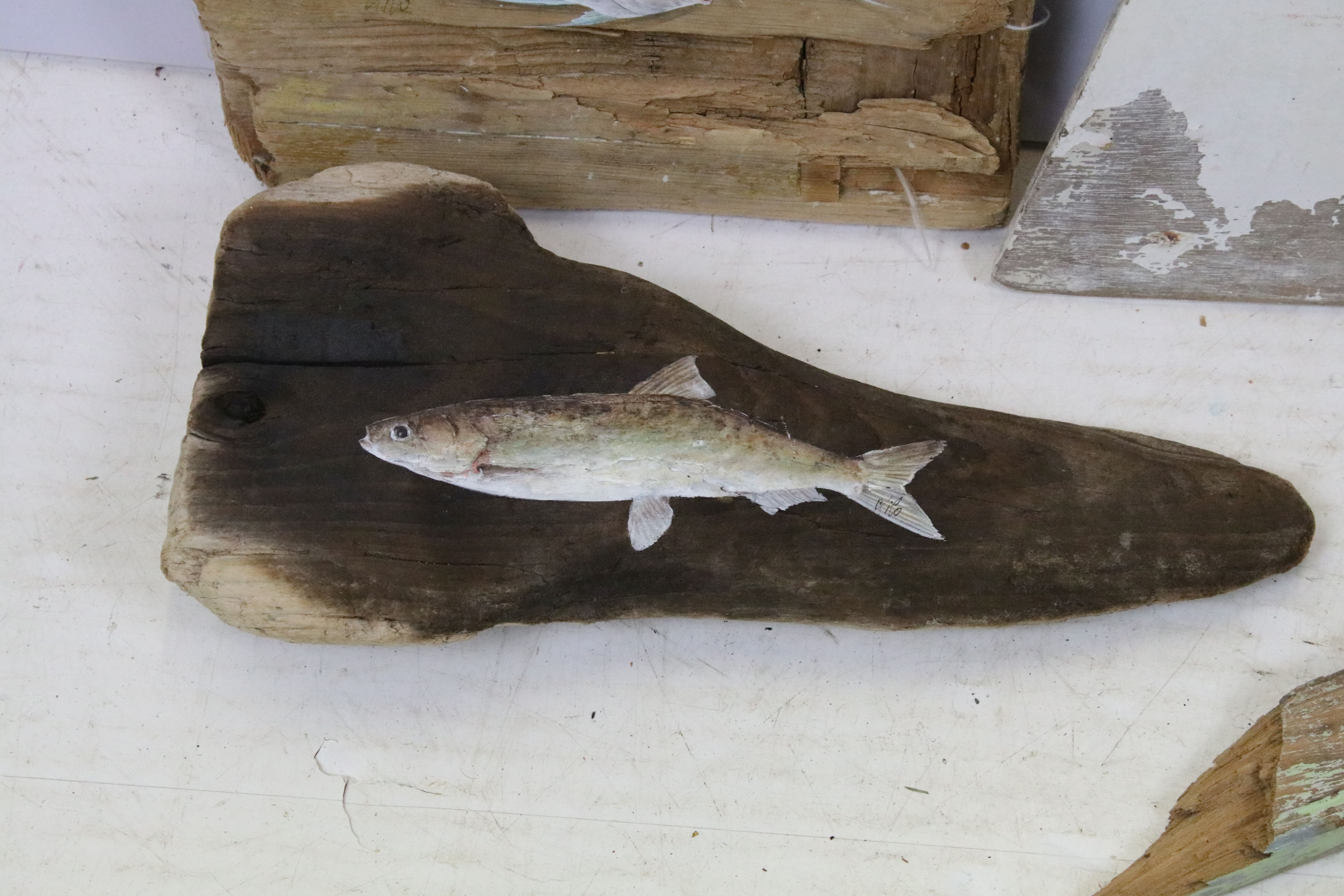 Five oil paintings of fish on wood, to include a painting of a trout on driftwood (driftwood - Image 3 of 5