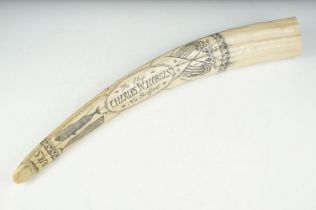 Faux scrimshaw resin whale tooth carved with 'The Ship - Charles W. Morgan - New Bedford', approx
