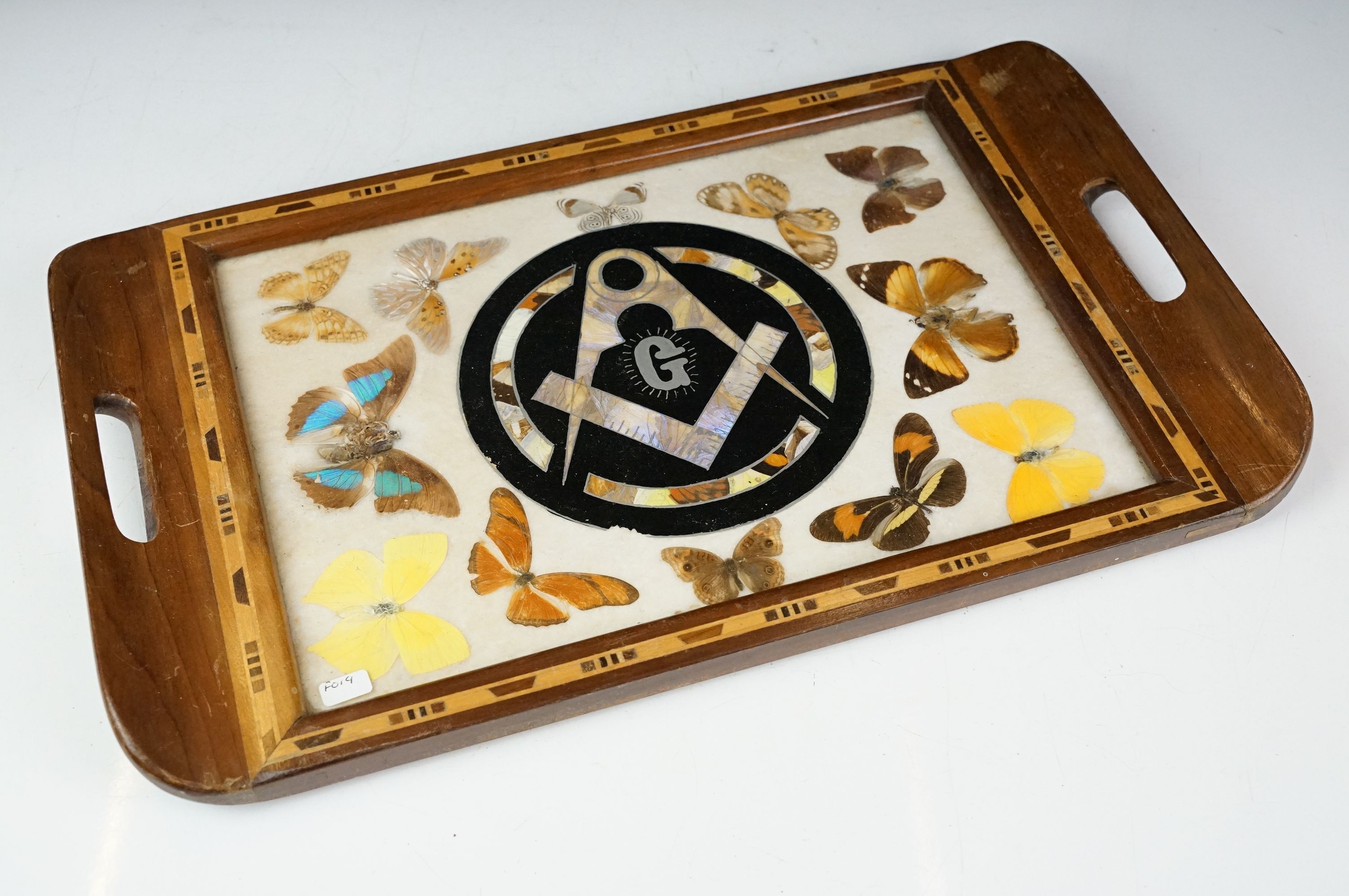 Early 20th century inlaid wooden tray with butterfly specimens and masonic butterfly wing emblem - Image 10 of 11