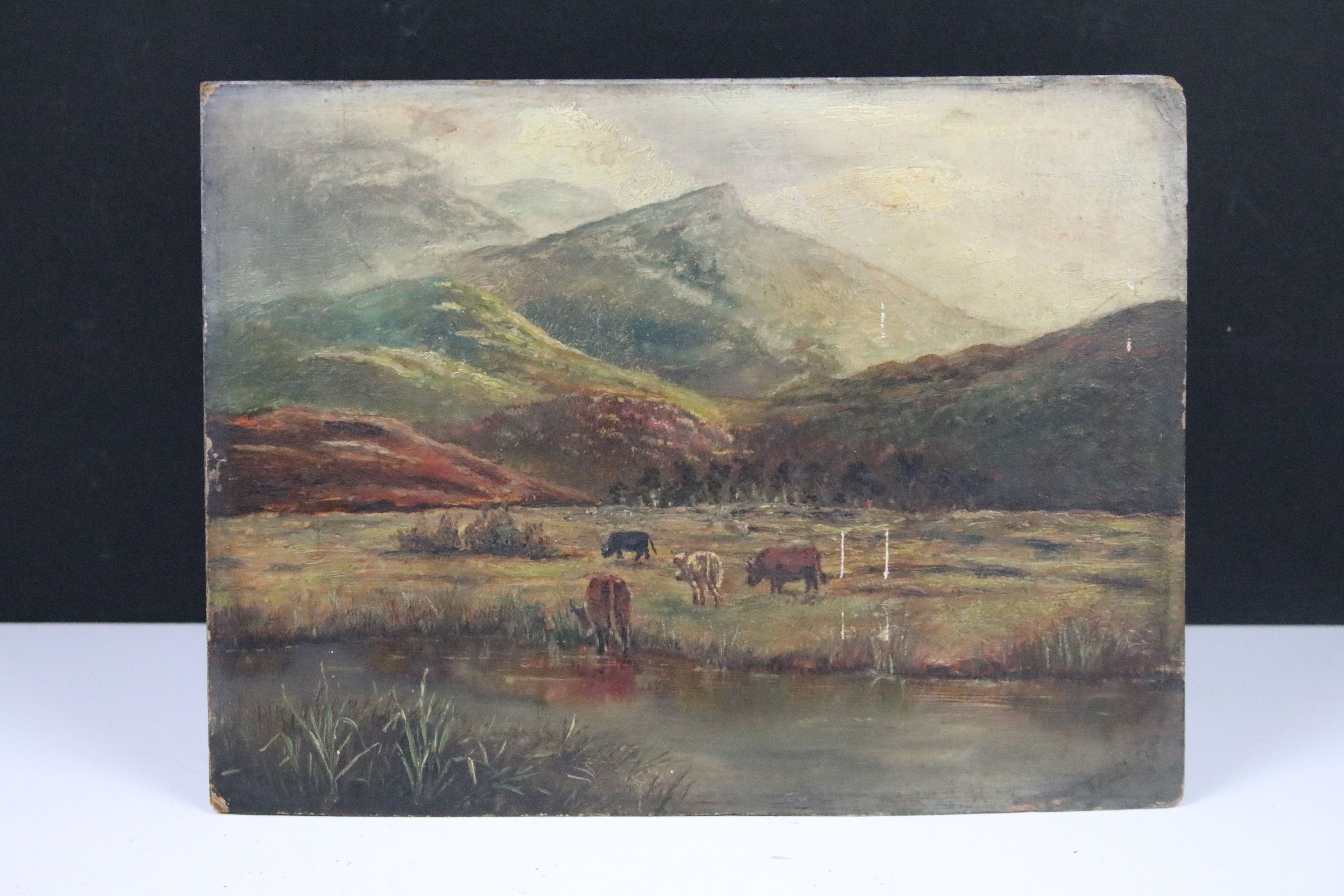 Taylor, cattle by a stream with mountains beyond, oil on board, inscribed Taylor lower right, 22.5 x - Image 7 of 8