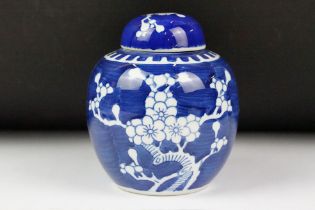 Chinese ginger jar and cover, the blue ground with white prunus branches, 15cm high