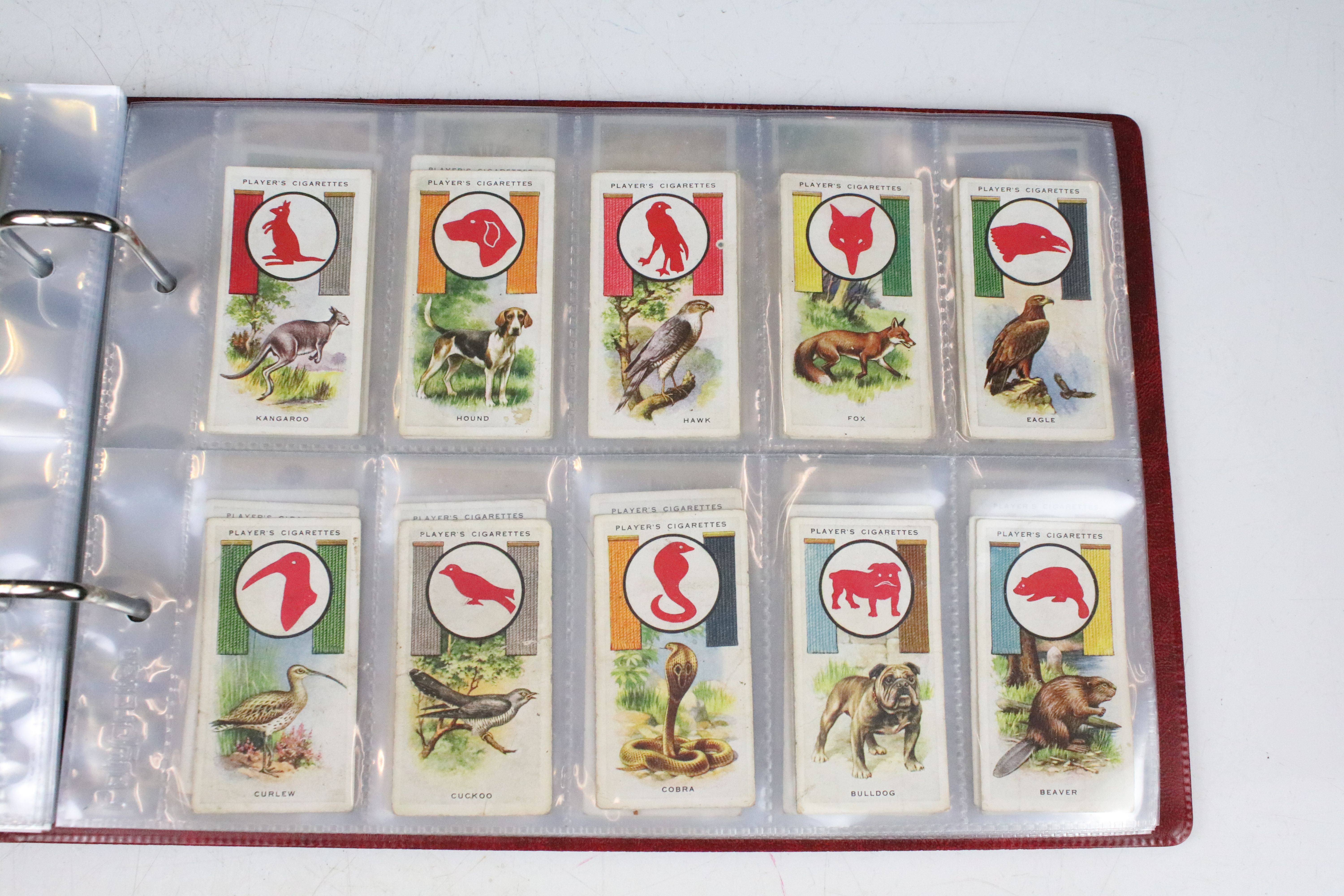 Large collection of cigarette cards within albums, full & part sets, plus a tin of odds, the lot - Image 8 of 14