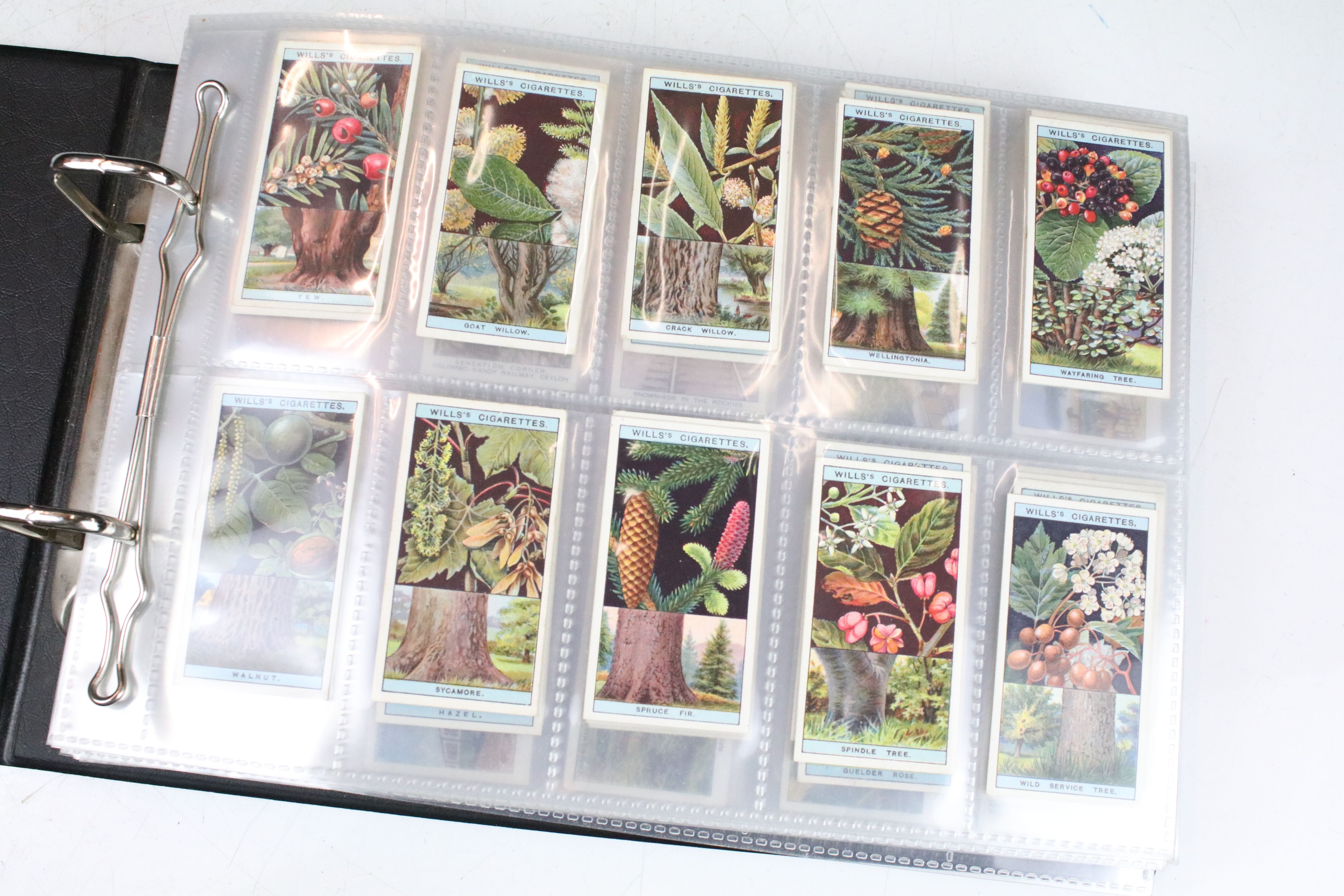 Large collection of cigarette cards within albums, full & part sets, plus a tin of odds, the lot - Image 10 of 14