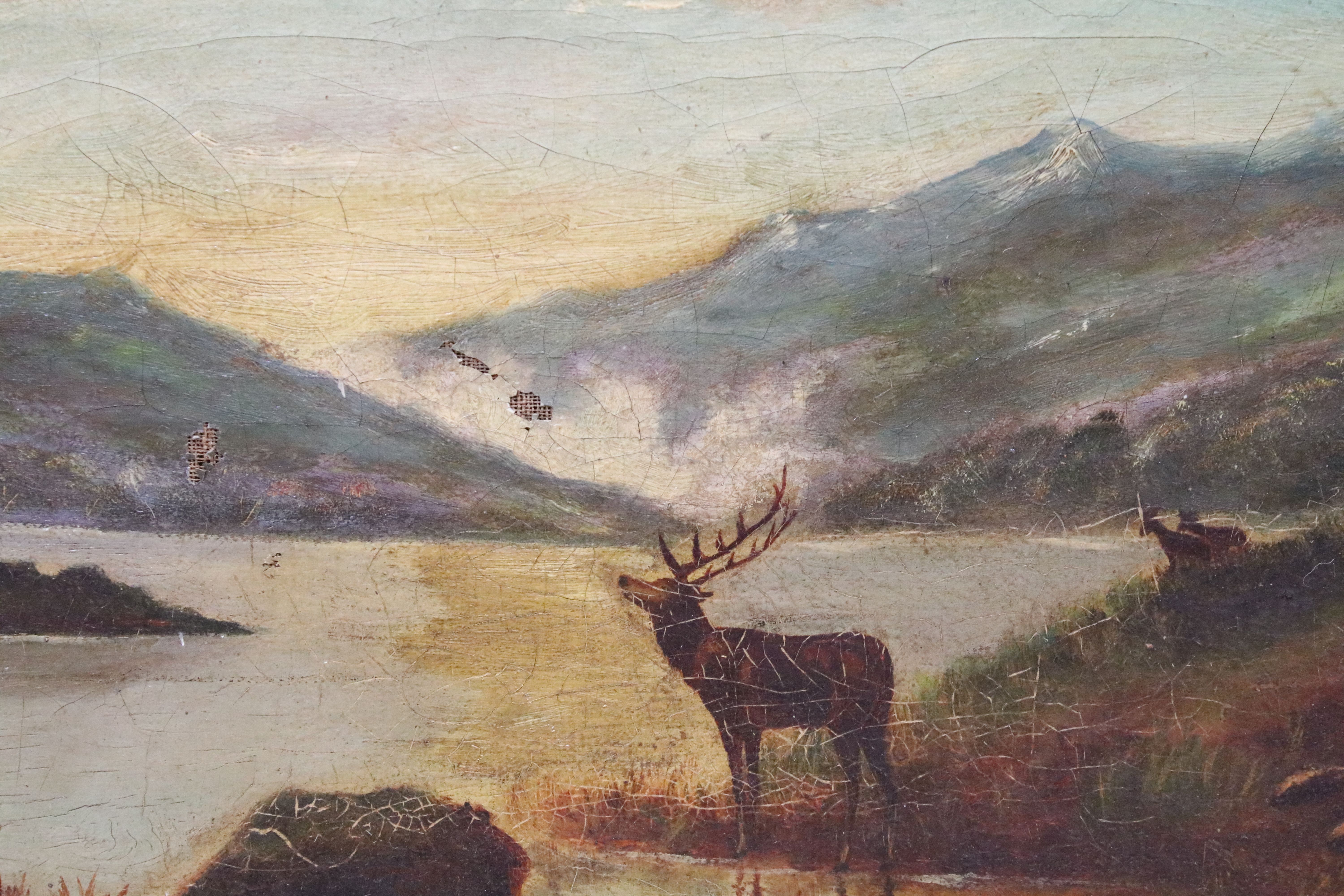 Scottish School, stag by a loch, oil on canvas, indistinctly initialled lower right, 18.5 x 28. - Image 2 of 5