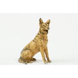 Austrian style Cold Painted Model of a Seated Alsatian / German Shepherd Dog, 3" tall
