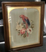 Walnut framed large woolwork picture Victorian period of a Parrott 30 Inches x 24 Inches