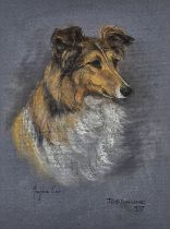 Marjorie COX (British 1915-2003) ‘Josephine’, Study of a Collie’s Head, Pastel on paper, Signed