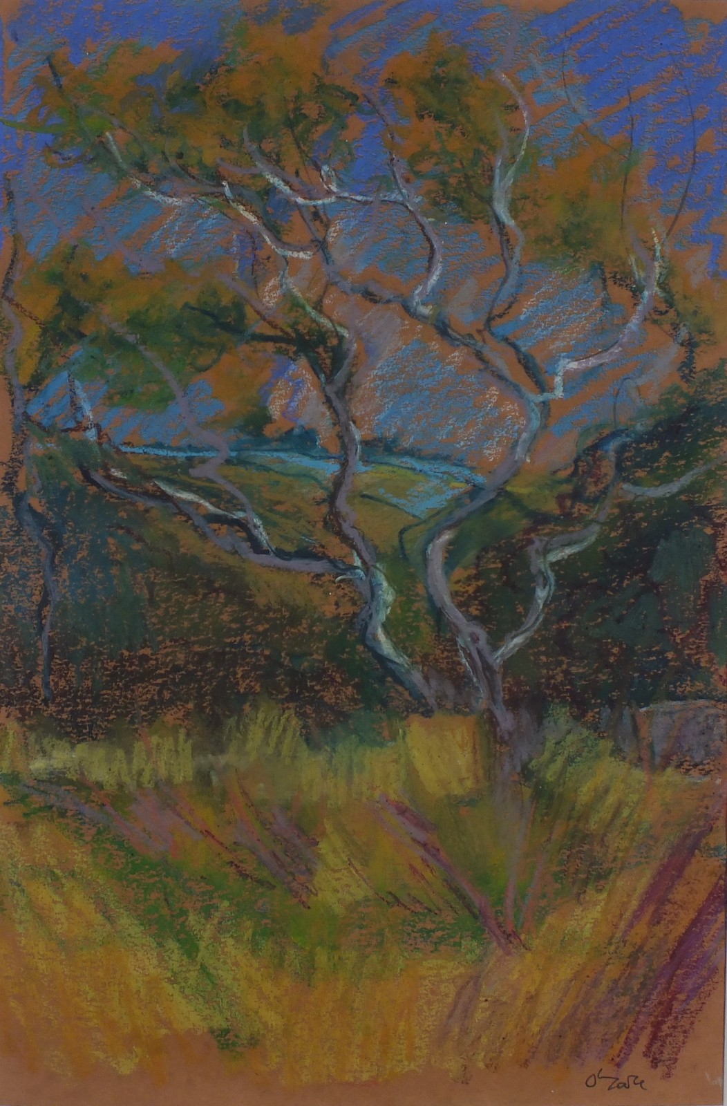 Carol O'TOOLE (British b. 1949) Near Sett Bridge, Oil pastel on paper, Signed lower right, titled