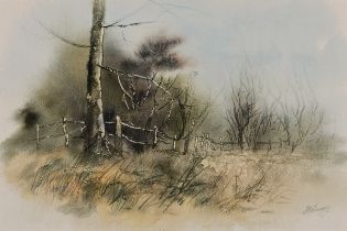 Steve SLIMM (British b. 1953) Edge of the Copse, Watercolour, Signed lower right, titled verso, 6.5”