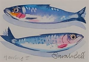 Sarah BELL (British b.1964) Herring II, Watercolour, Signed in pencil lower right, inscribed lower