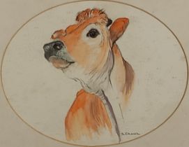 S. CHURCH (20th Century) Cow, Watercolour, Signed, 7" x 9" (17cm x 22cm)