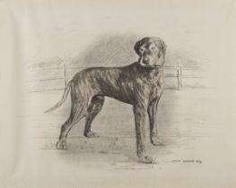 Onslow BARTLETT (Early 20th Century) Great Dane, Pencil and charcoal drawing, Signed and dated