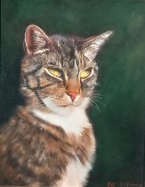 Pat SHIPMAN (British 20th Century) Tabby Cat, Oil on board, Signed lower right, 19.5” x 15.75” (49cm