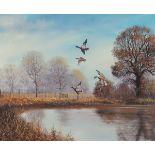 Royce HARMER (British 20th Century) Ducks Flying over Water, Oil on board, Signed lower right, 17.5”