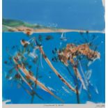 J BRIGHT (British 20th / 21st Century) Seedheads and Boat, Colour print, Signed lower right,