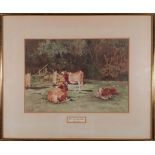 John Guttridge SYKES (British 1866-1941) Cows in a Field, Watercolour, Signed lower left, 9.5” x