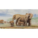 20th Century, Herd of Elephants, Watercolour, Indistinctly signed lower right and dated ’96,7” x