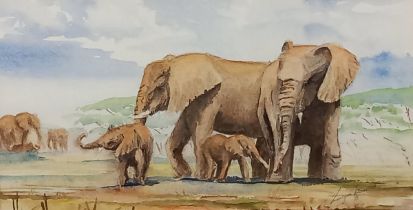 20th Century, Herd of Elephants, Watercolour, Indistinctly signed lower right and dated ’96,7” x