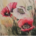 Judi TREVORROW (British 20th/21st Century) Poppies, Coloured print, 5.5” x 5.5” (14cm x 14cm)