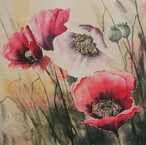 Judi TREVORROW (British 20th/21st Century) Poppies, Coloured print, 5.5” x 5.5” (14cm x 14cm)