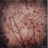 Carol LANDER (British 20th / 21st Century) Blossom, Colour print, 12” x 12” (30cm x 30cm)