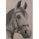 Gerry HURST (British 20th Century) Horse portrait, Pencil, Signed and dated 1980 lower right, 15.75”