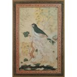 19th Oriental School, Bird on Cherry Blossom, Print, 12.25" x 8.25" (31cm x 21cm)