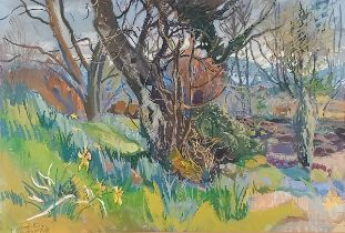 Phylis BRAY (British 1911-1991) Spring 1958 – Woodland scenery, Watercolour and gouache, Signed,