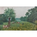 F.V.O.W (Early 20th Century British School) Cows grazing in a meadow, Oil on board, Signed with