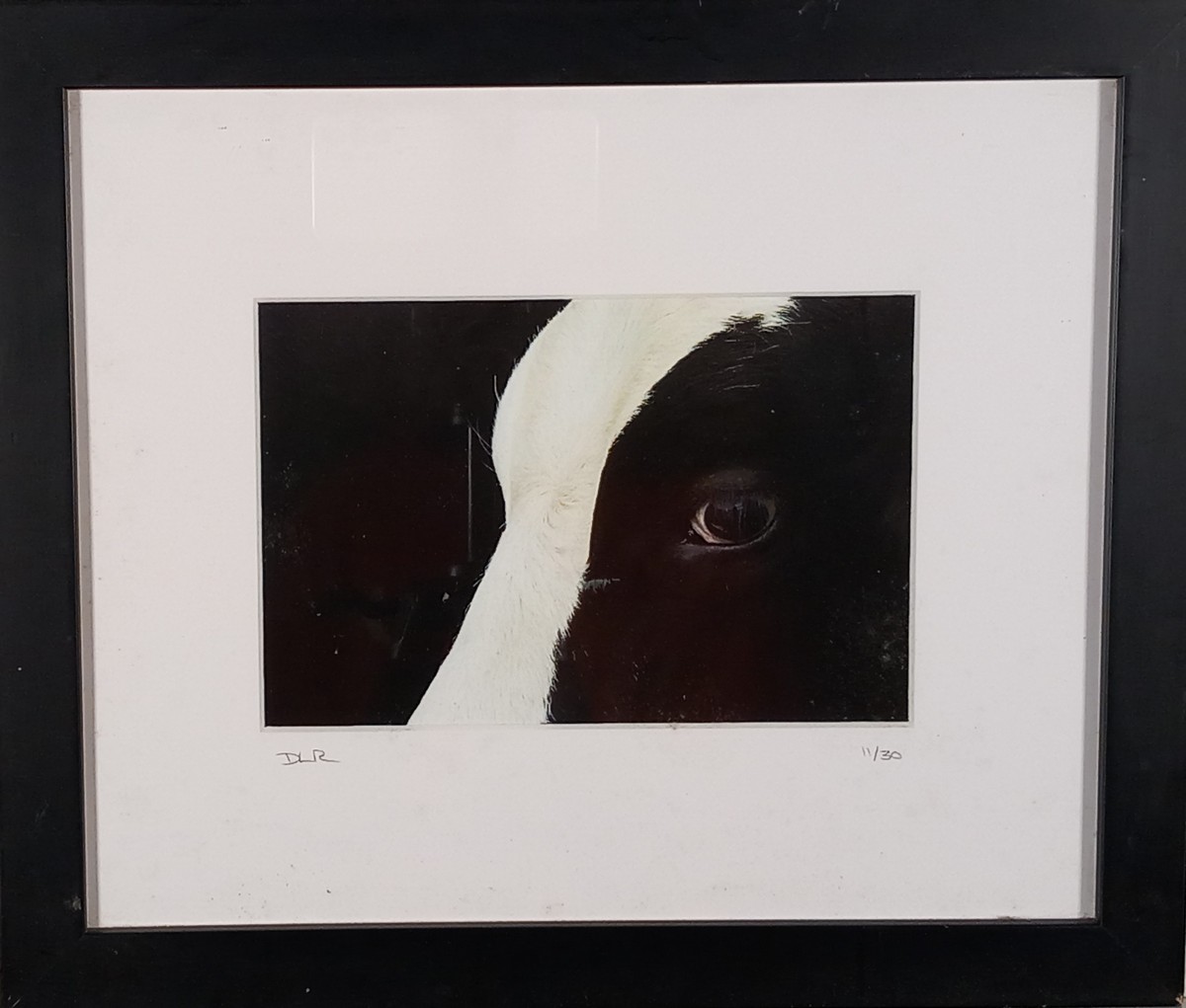 Deborah ROBERTS (British 20th / 21st Century) Cow Eye, Black and white photograph, Limited