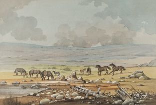 Bryan CONWAY (British 20th Century) Exmoor Ponies, Watercolour, Signed lower right, 14.25” x 21.