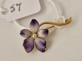 An Edwardian high carat gold enamel flower brooch, boxed