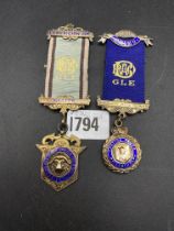 Two silver and enamel Buffalo medals