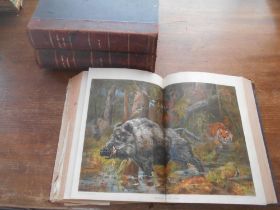 THE BOY'S OWN ANNUAL bnd. vols. 1896/7, 1898/9 & 1900, all with cold. litho plts.