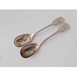 A pair of William IV Irish mustard spoons crested, Dublin 1835 by CC