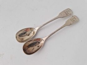 A pair of William IV Irish mustard spoons crested, Dublin 1835 by CC