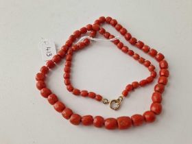 Antique Victorian faceted coral bead necklace, 45g, 23.5" Gold bolt ring clasp, largest bead 10mm D