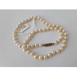 A row of pearls with 9ct clasp 17 inch