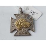 silver and gold Irish great Dane medallion/pendant 11.5g